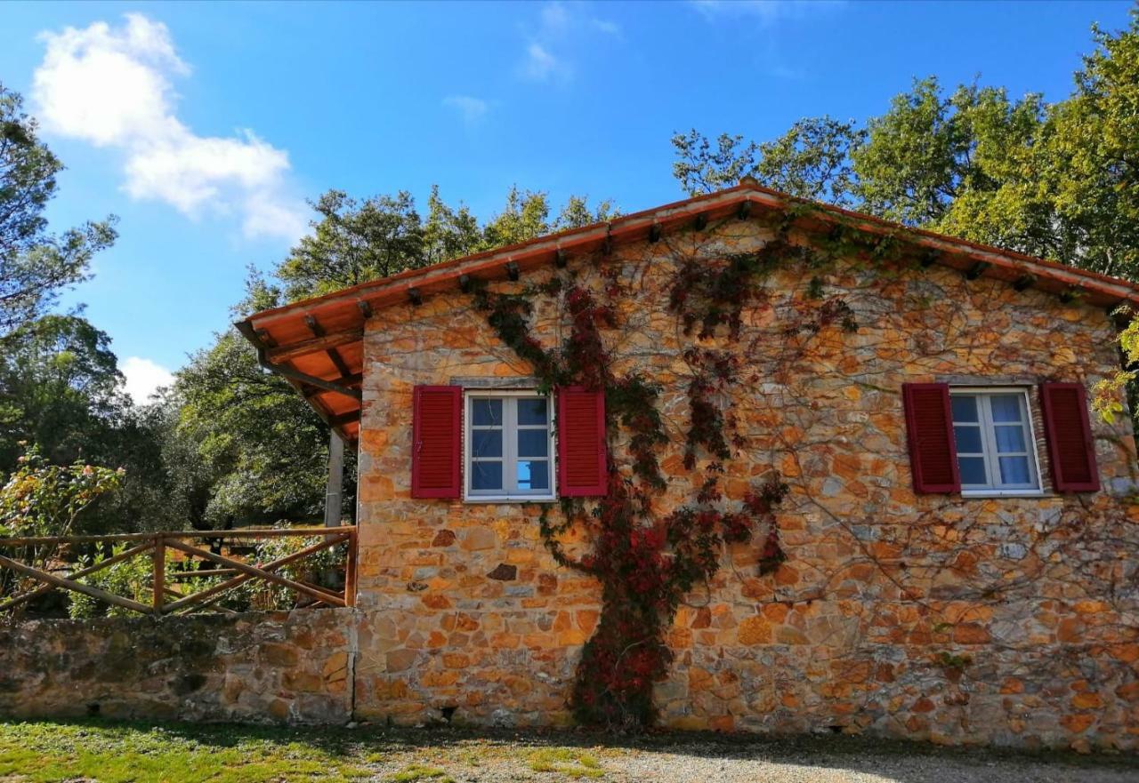 Il Daino Bianco Country Hotel Manciano Exterior foto